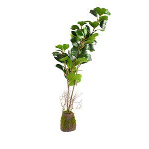 Planta Artificial Decorativa Grande 3-4166